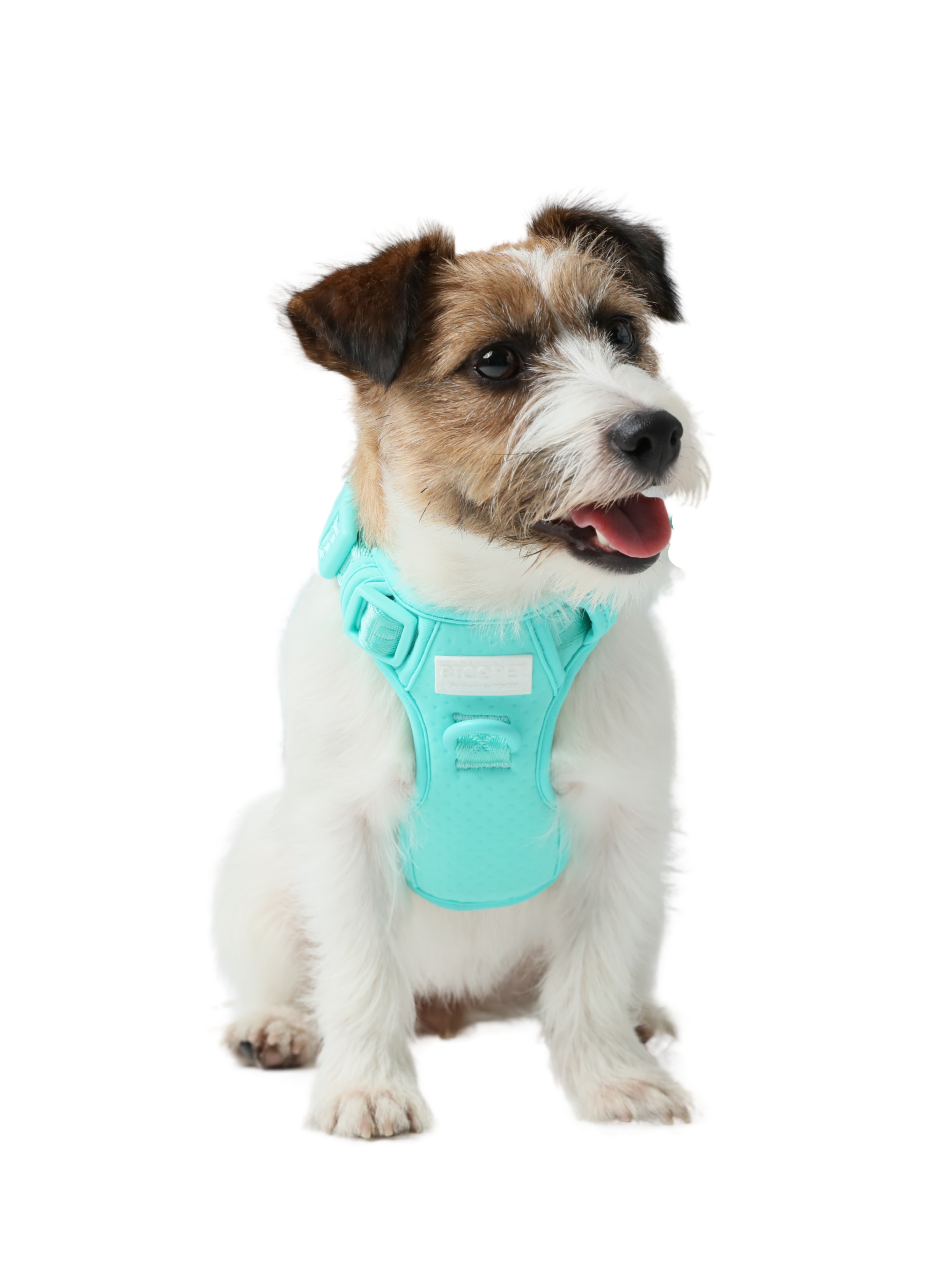 NO PULL ACTIVE  PET HARNESS - MINT GREEN-thumbmail-9
