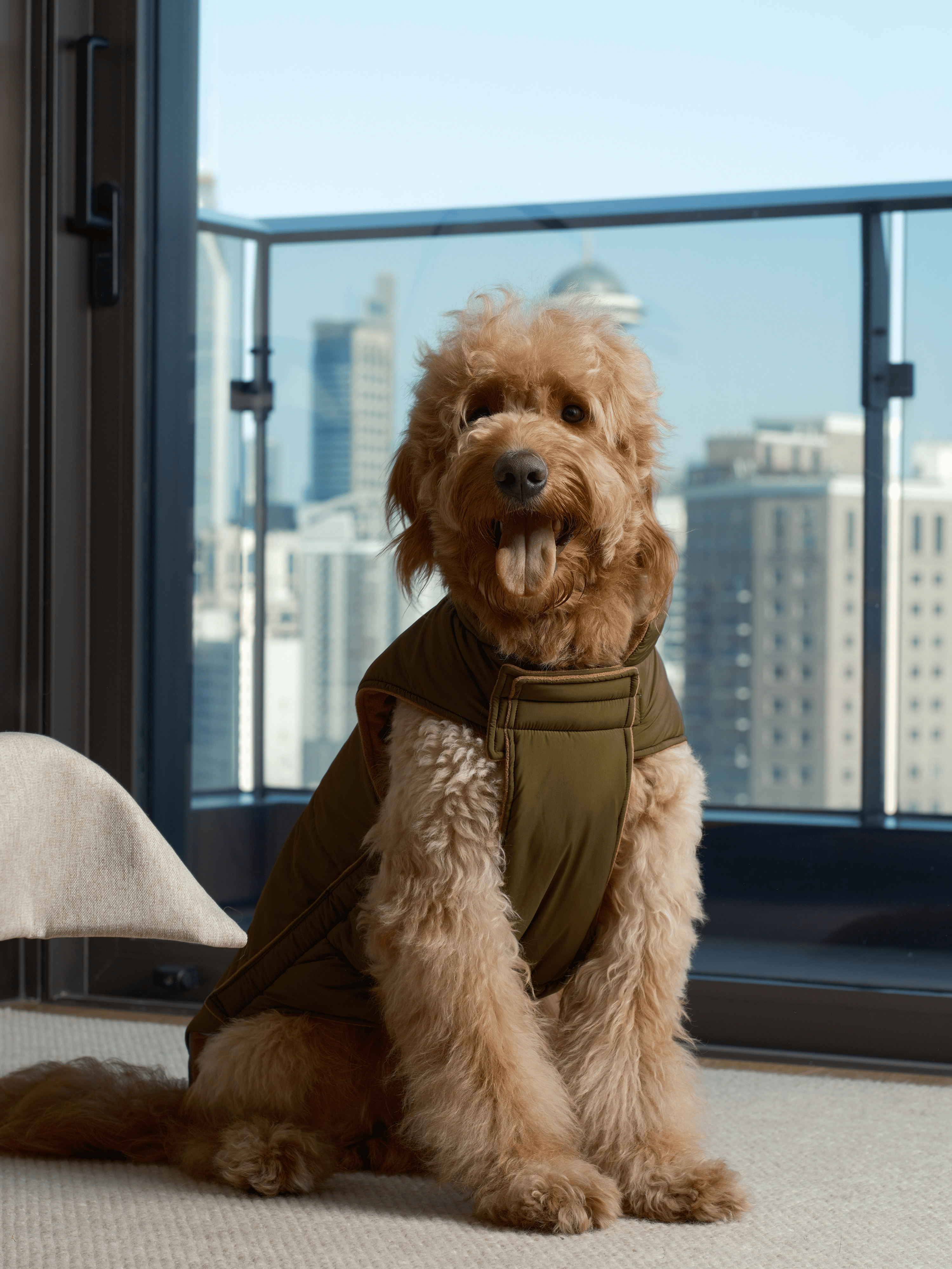 Reversible Dog Vest Jacket - Green Brown-thumbmail-5