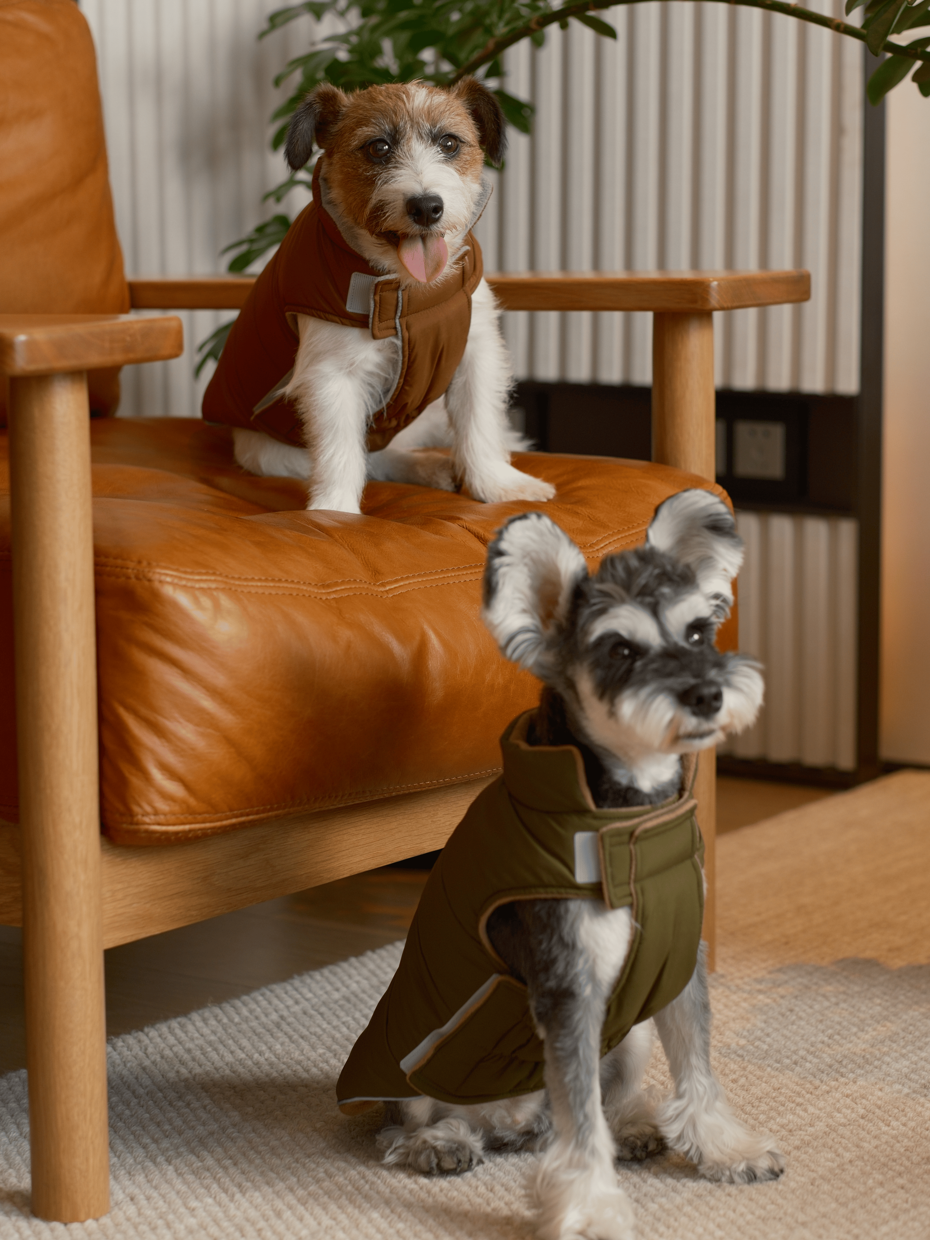 Reversible Dog Vest Jacket - Green Brown-thumbmail-3