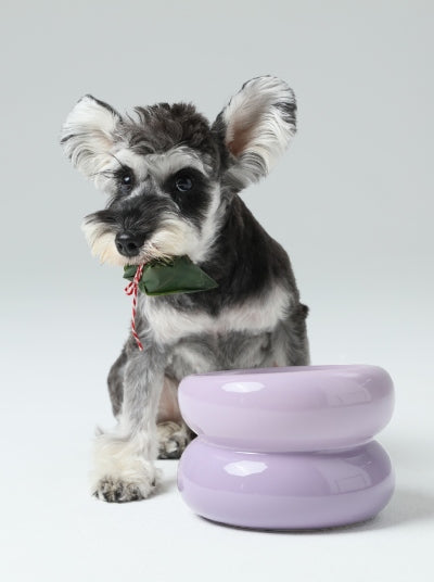 Soufflé Pet Bowl - Purple-thumbmail-8