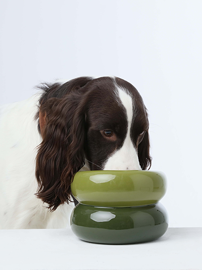 Soufflé Pet Bowl - Avocado Green-thumbmail-1