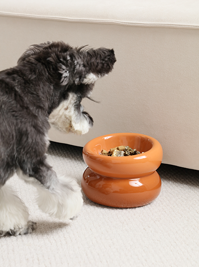 Soufflé Pet Bowl - Amber Orange-thumbmail-4