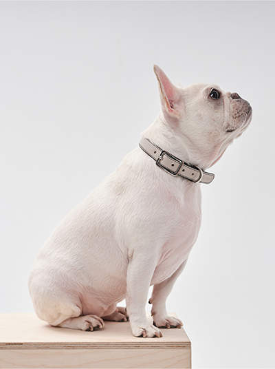 HART DOUBLE COLORS COLLAR - BLACK BEIGE-thumbmail-1
