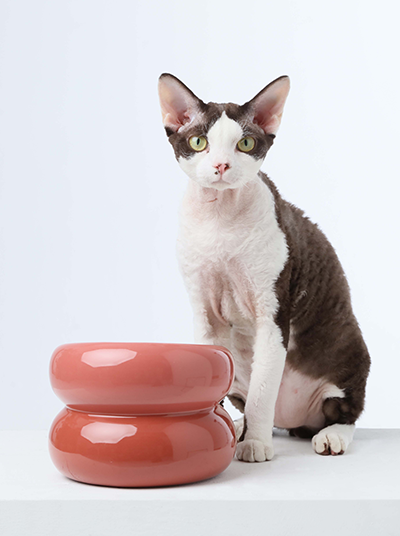 Soufflé Pet Bowl - Rose Pink-thumbmail-4