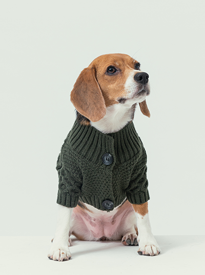 BERT CARDIGAN SWEATER - DARK GREEN-thumbmail-5