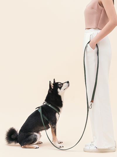 HART MULTI-FUNCTION LEASH - DARK GREEN-thumbmail-1