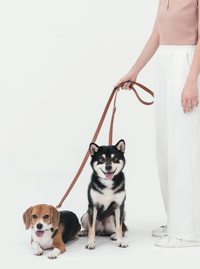 HART MULTI-FUNCTION LEASH- AMBER ORANGE-thumbmail-10