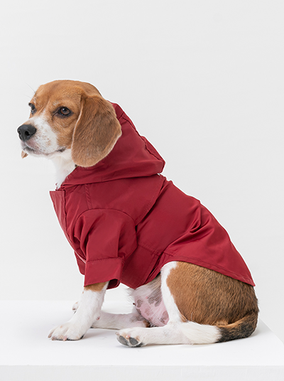 Tribeca Adjustable Velcro Raincoat -  Burgundy-thumbmail-3