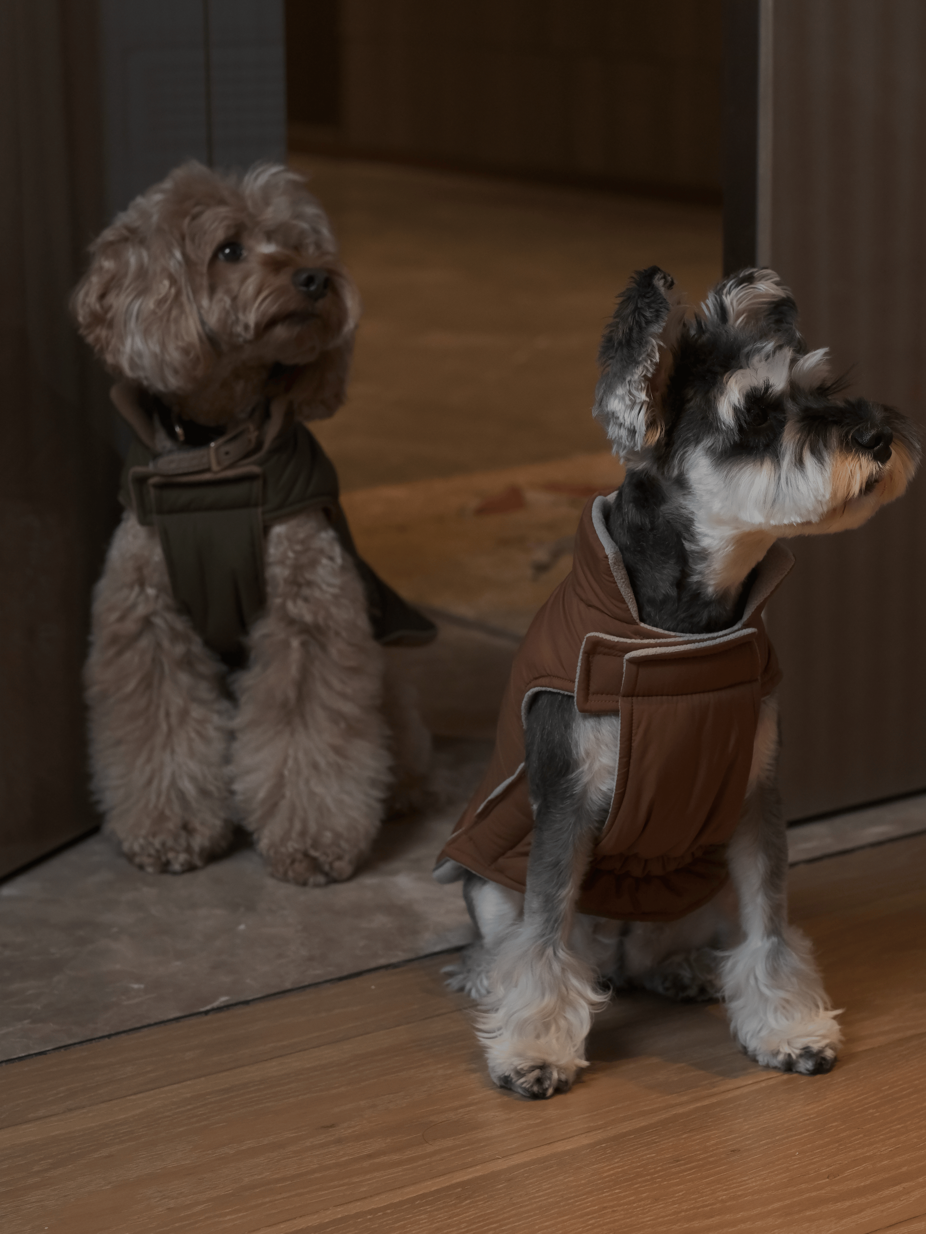 Reversible Dog Vest Jacket - Orange Grey-thumbmail-4