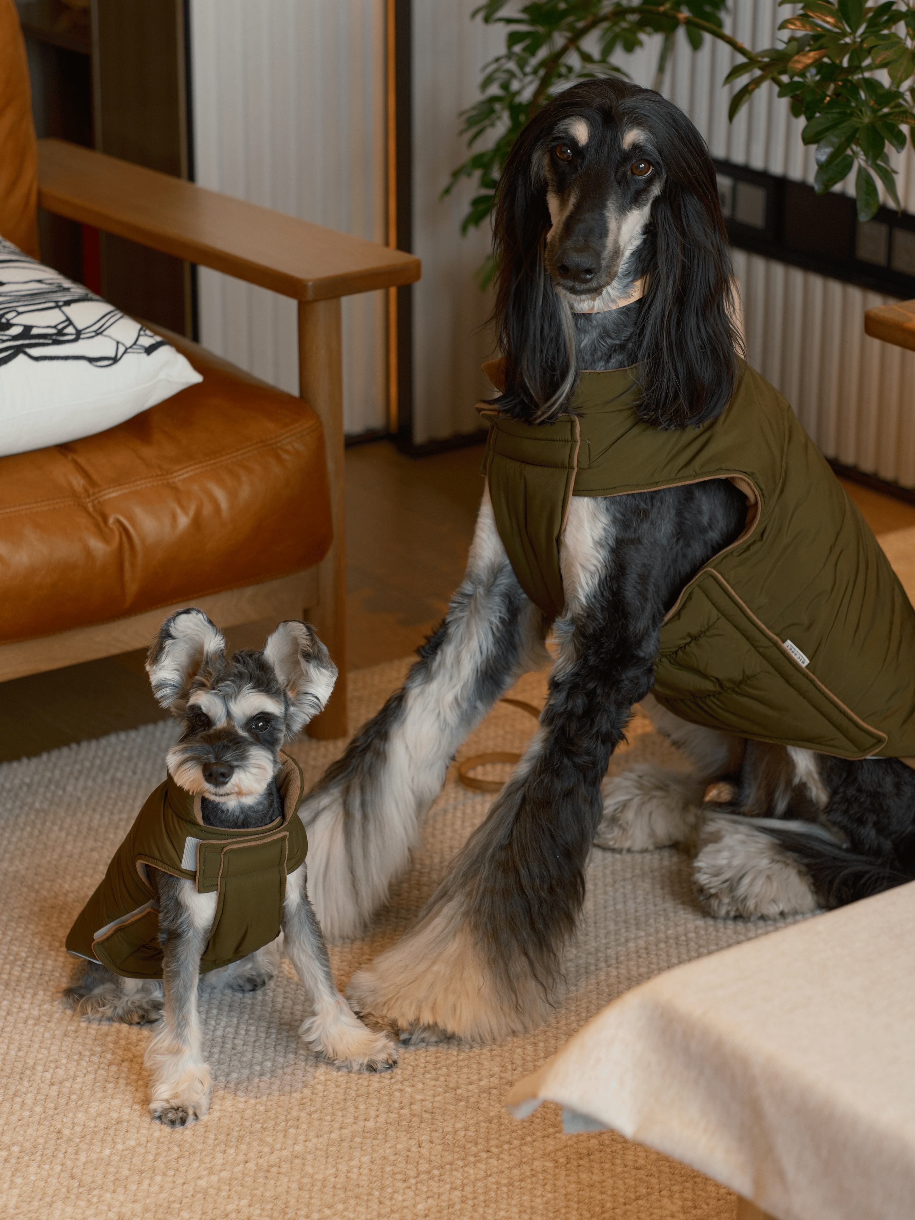 Reversible Dog Vest Jacket - Green Brown-thumbmail-7