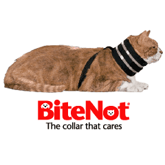 BNCAT1 - Bite Not Collar (1-10lbs.)-thumbmail-1
