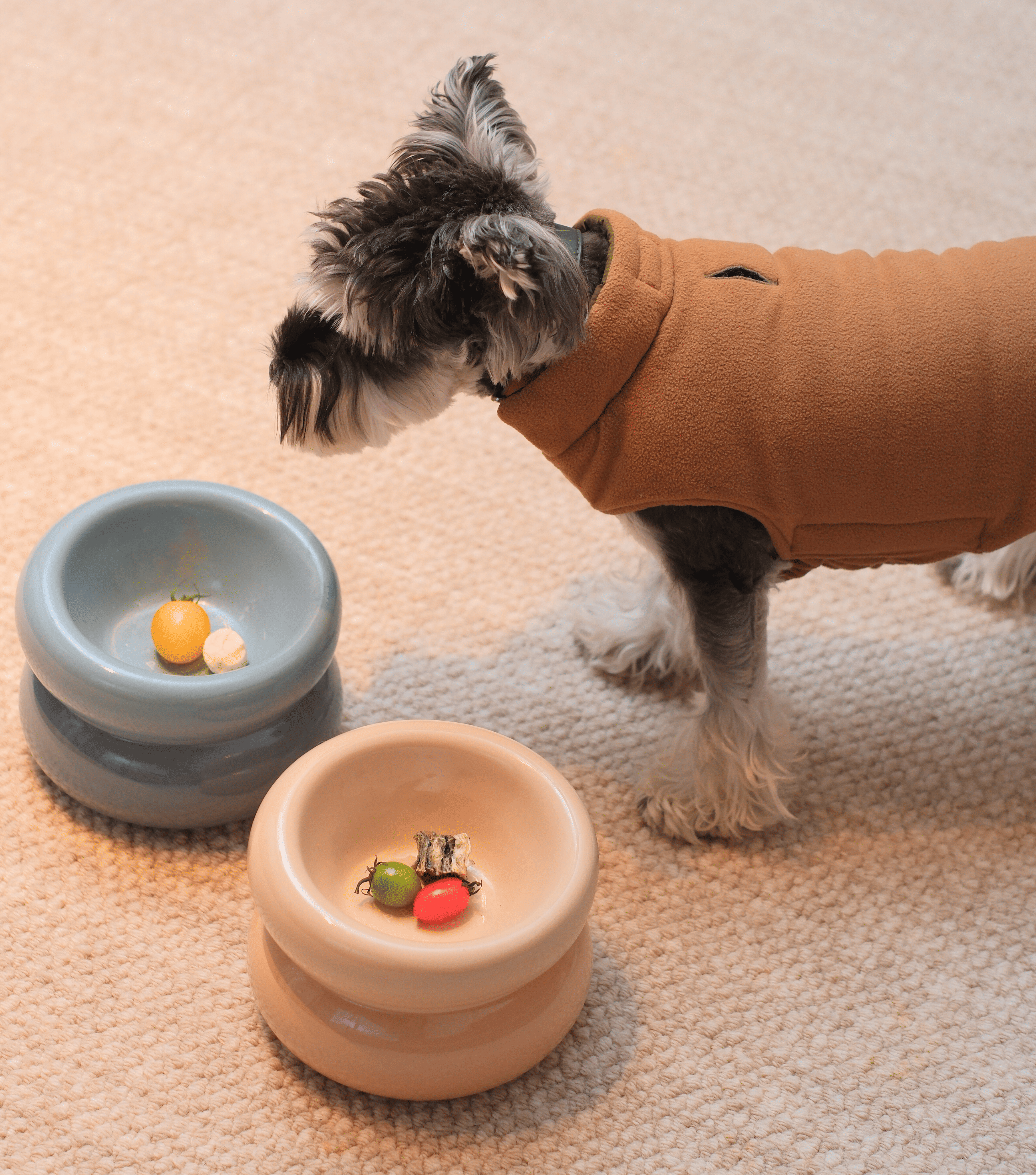 Soufflé Pet Bowl - Cream Beige-thumbmail-5