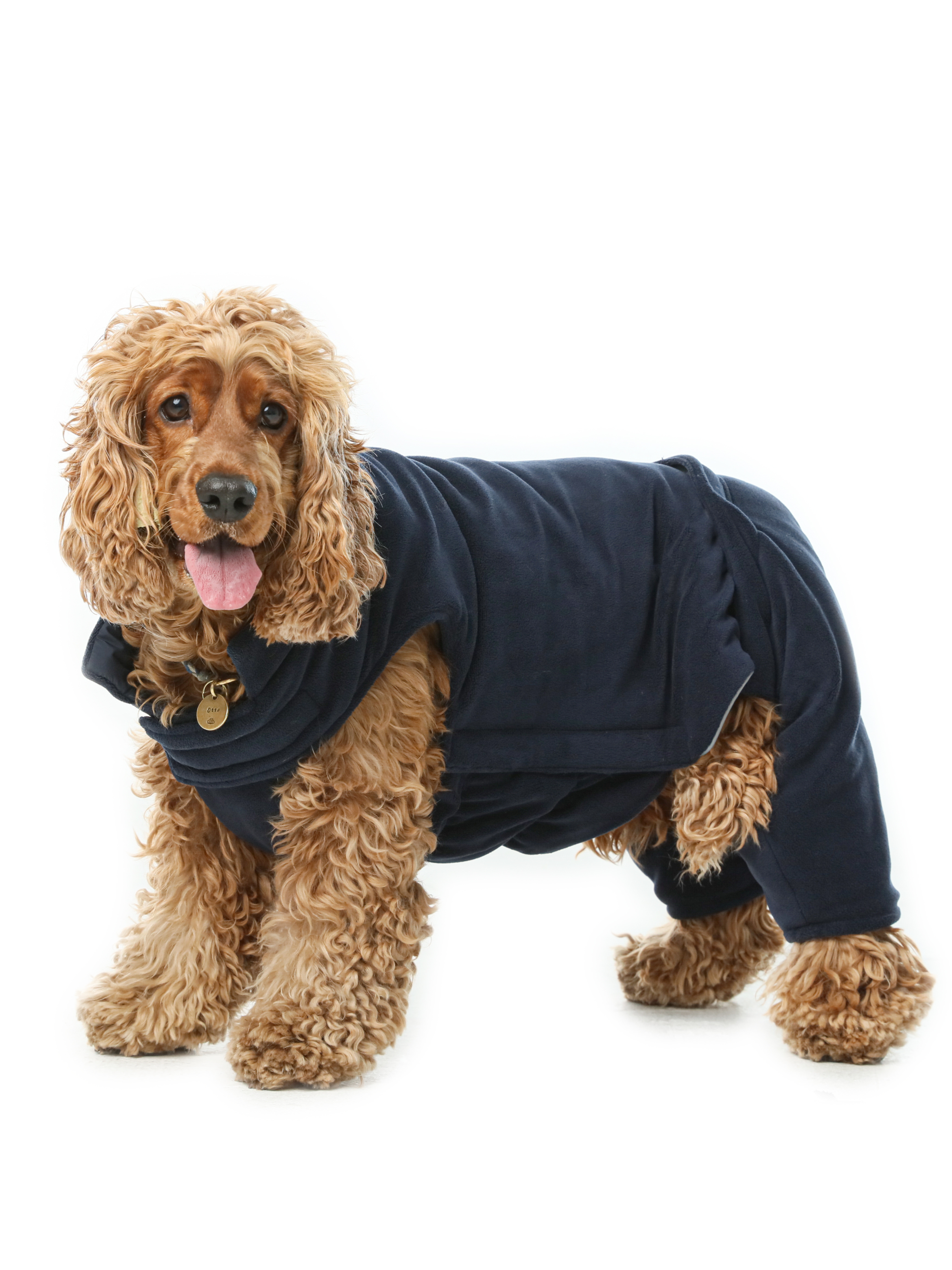 Reversible Dog Vest Jacket - Blue-thumbmail-7