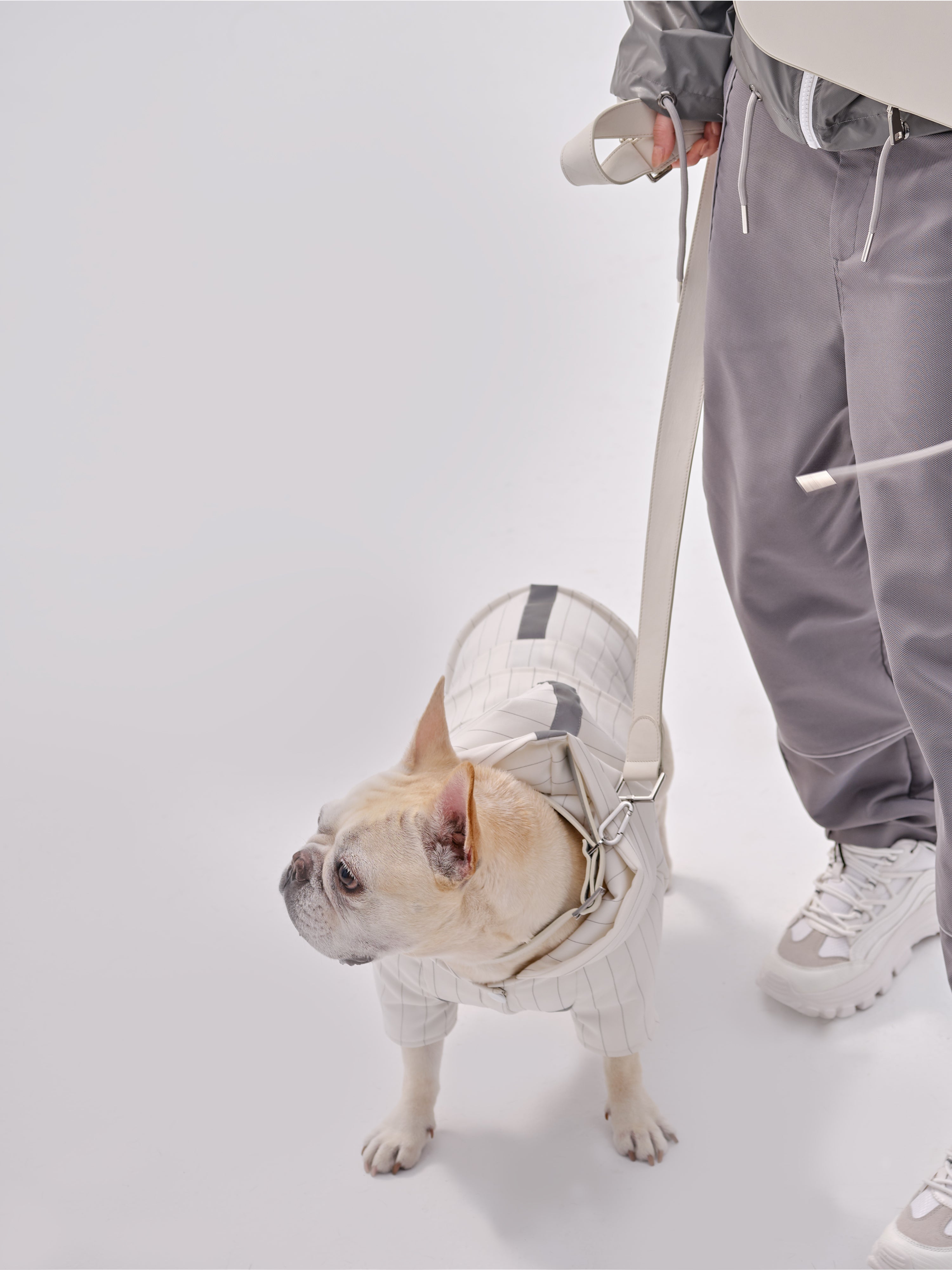 Andersen Calfskin Pet Collar-thumbmail-7