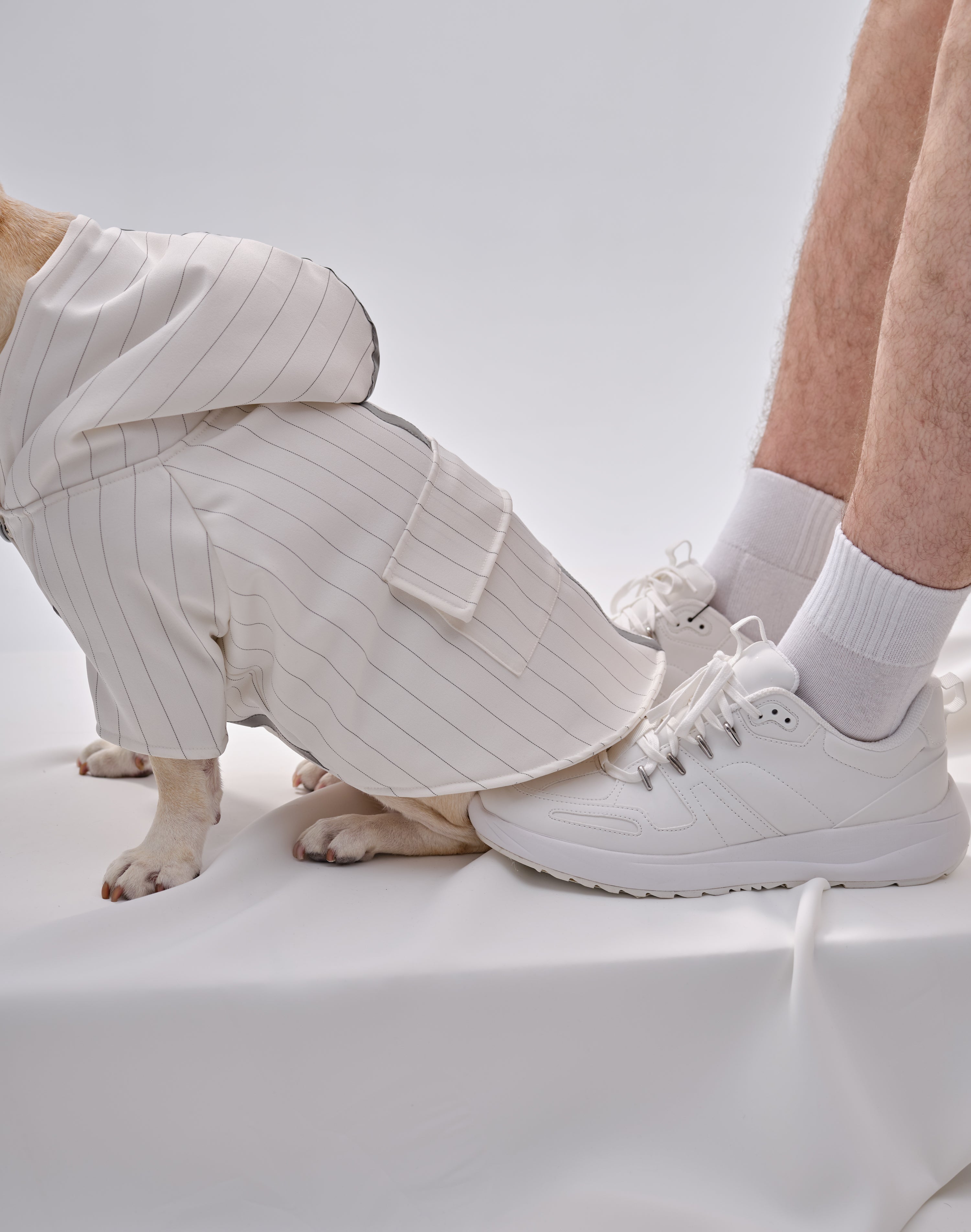 PEHOM PET REFLECTIVE X HOODIE-thumbmail-6