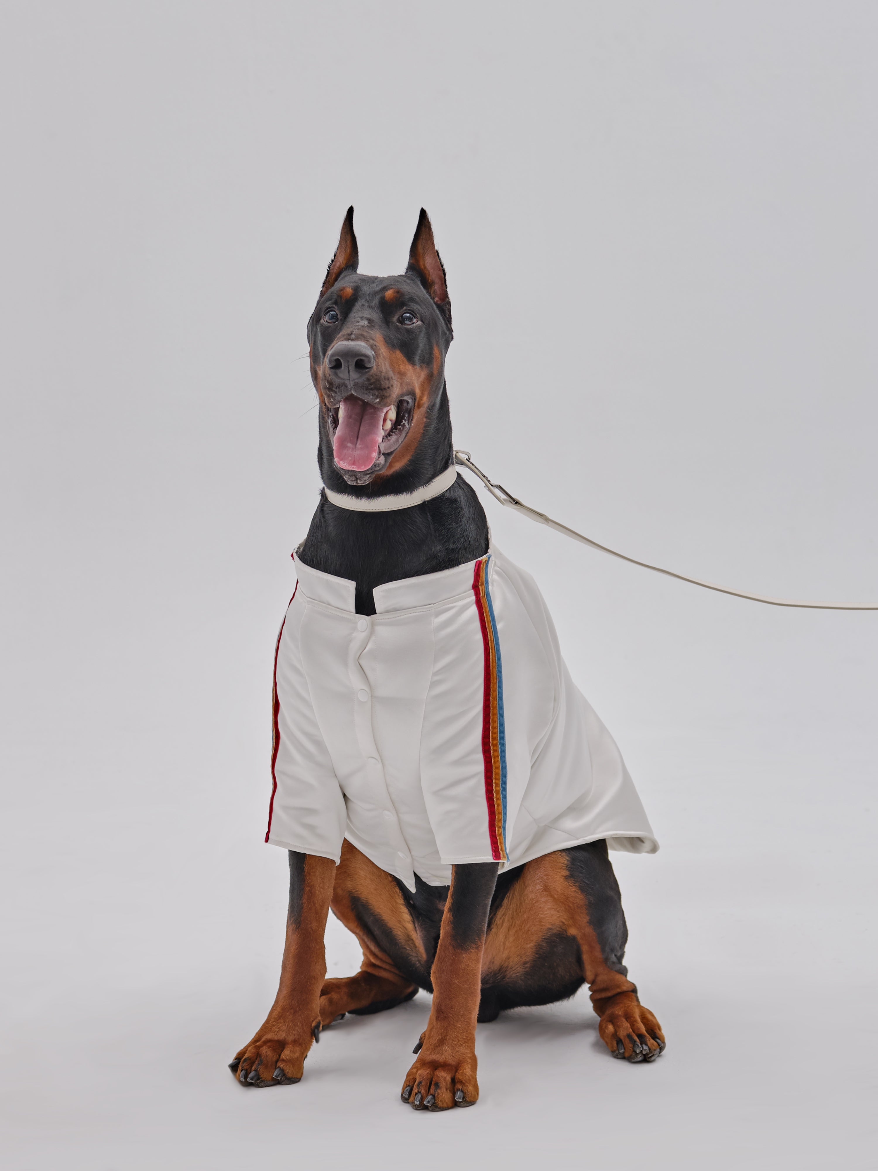 PET VELVET STRIPED JACKET-thumbmail-3