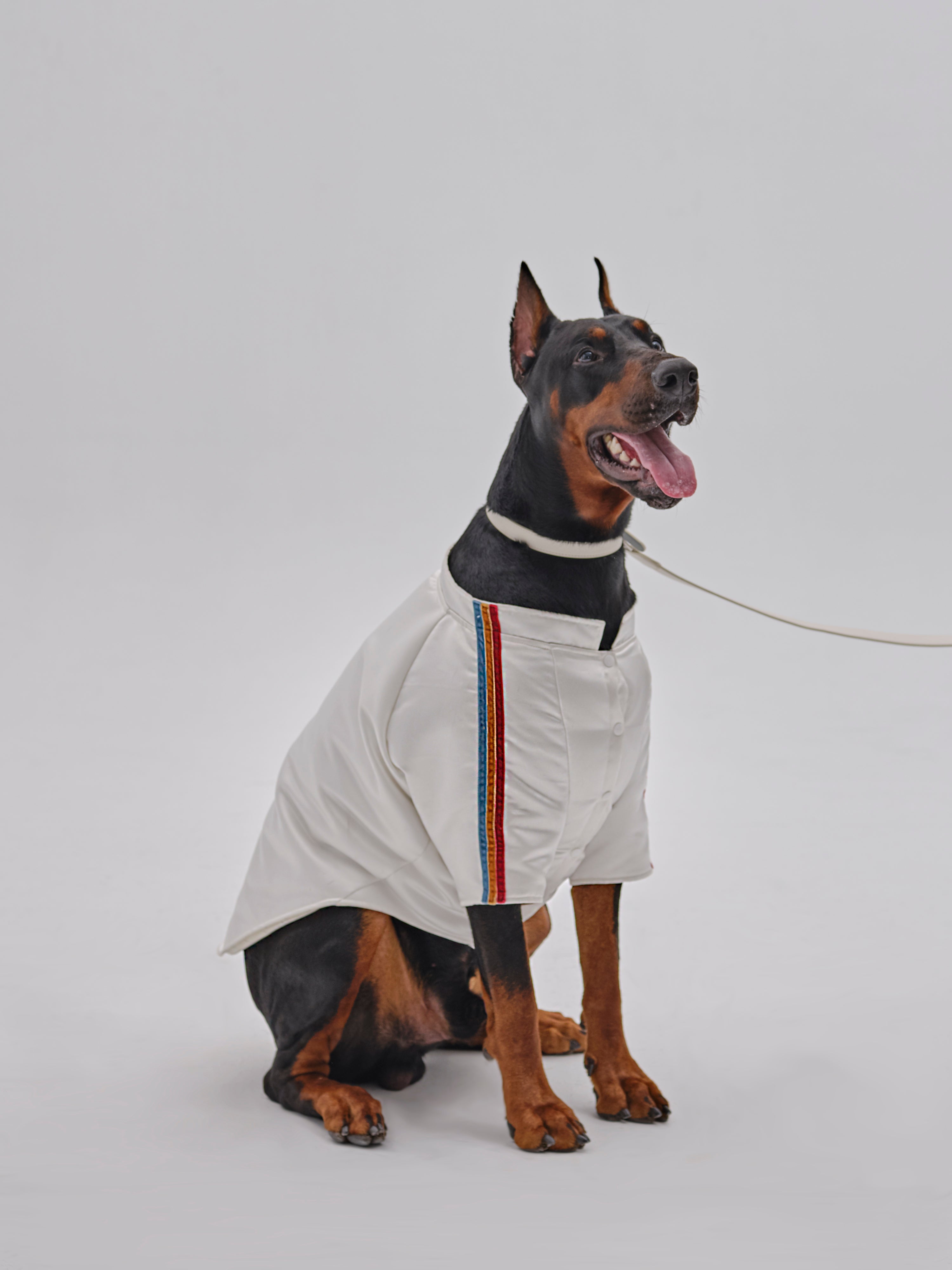 PET VELVET STRIPED JACKET-thumbmail-5