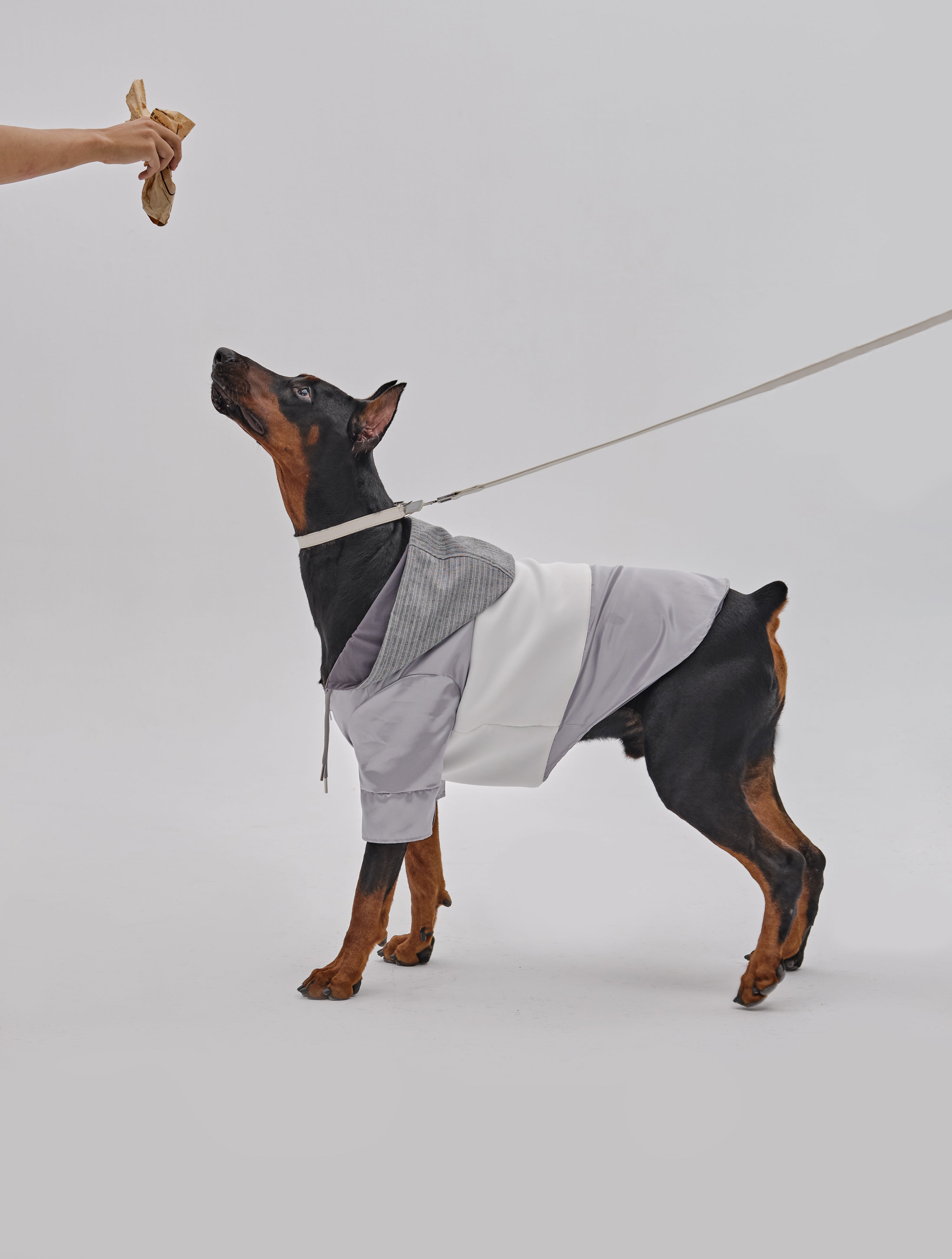 Andersen Calfskin Shoulder Bag & Leash & Collar-thumbmail-2