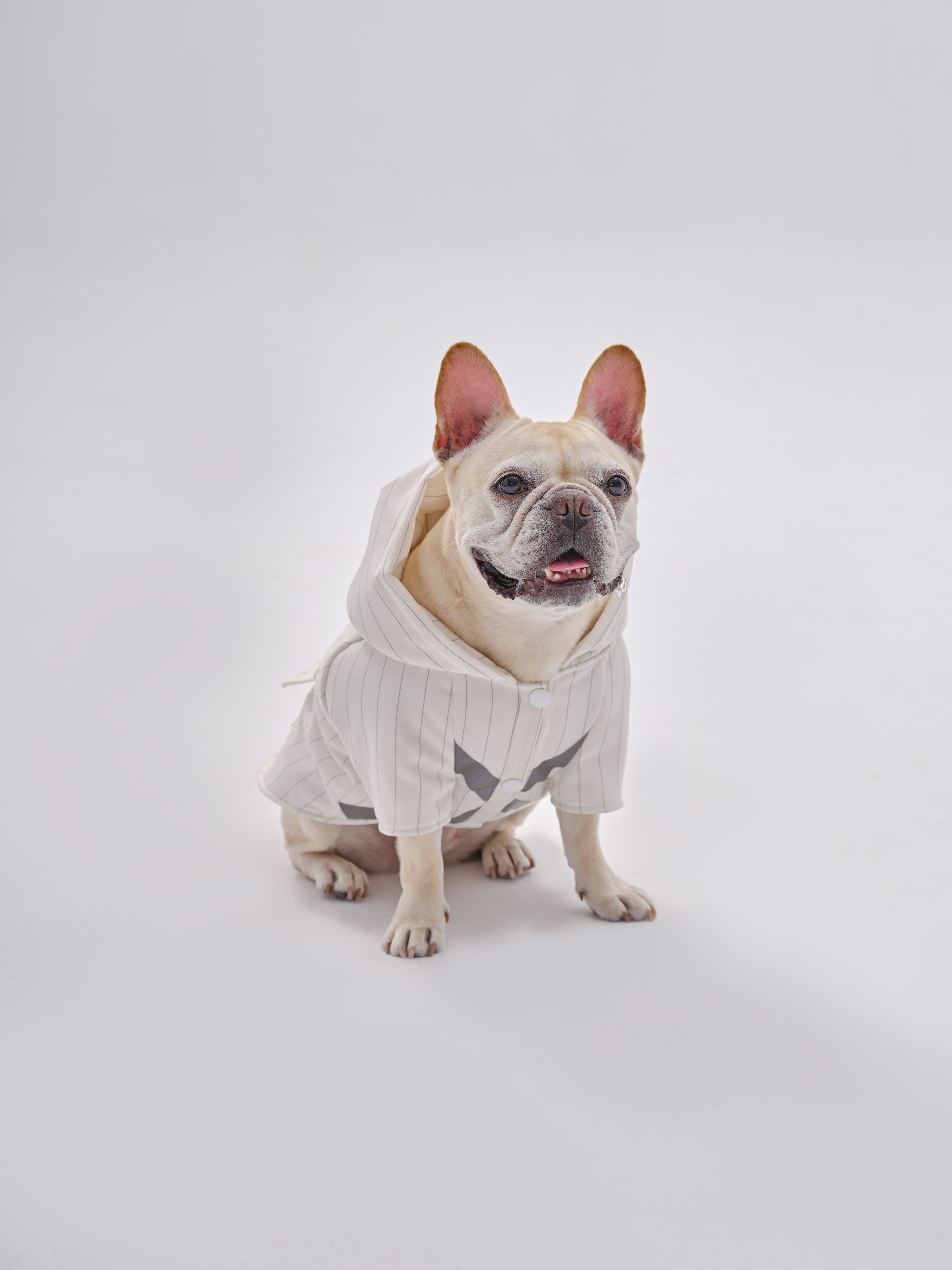 PEHOM PET REFLECTIVE X HOODIE-thumbmail-1