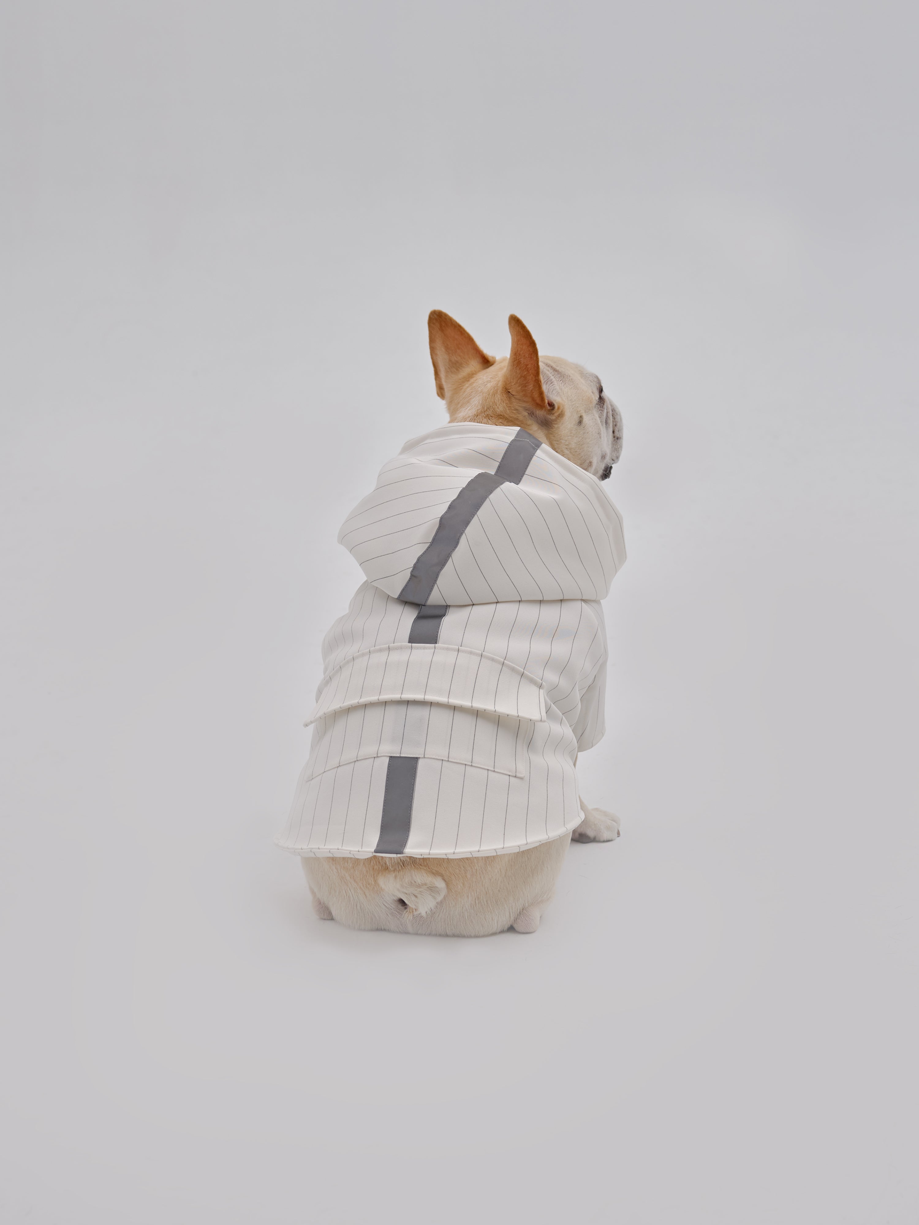 PEHOM PET REFLECTIVE X HOODIE-thumbmail-5