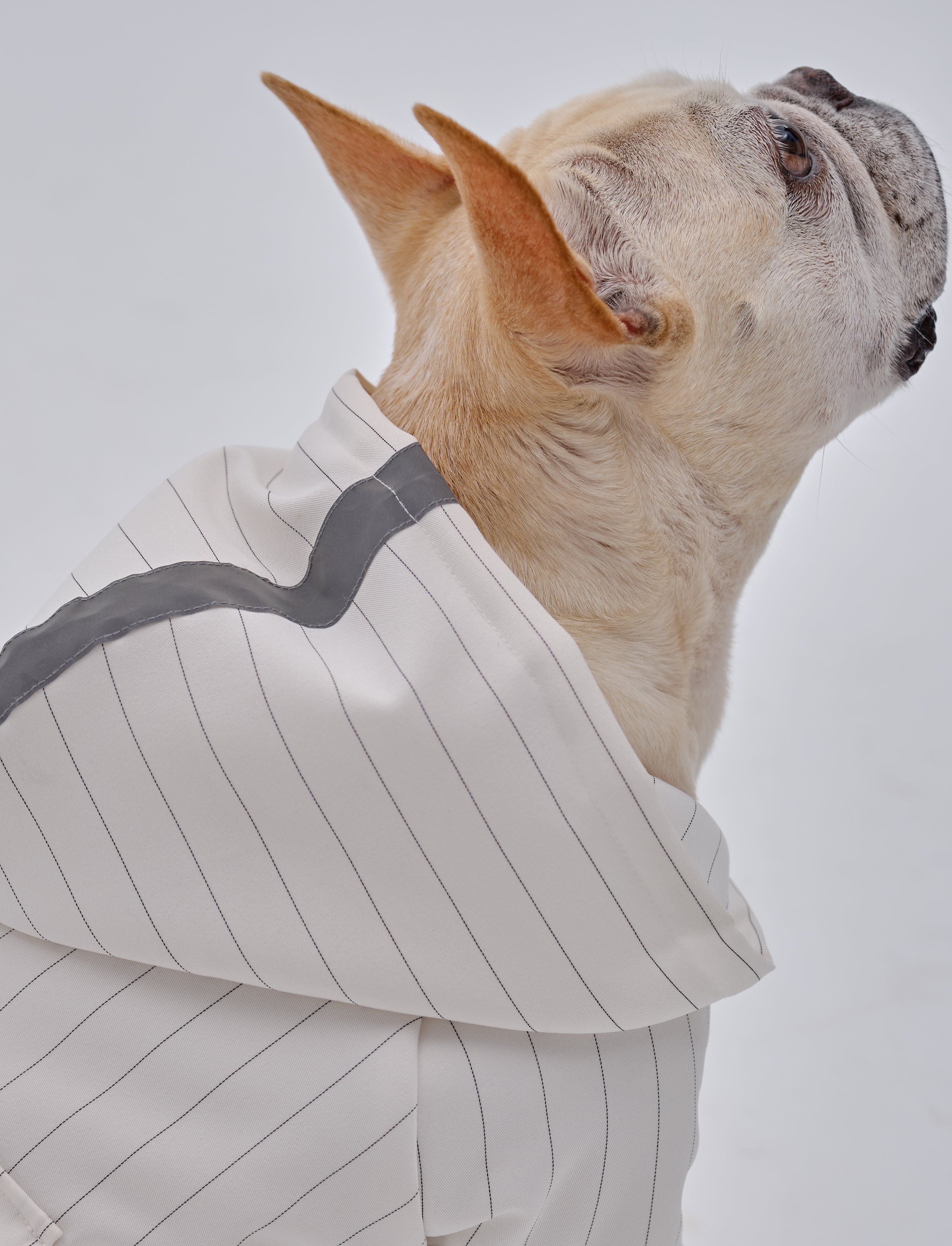 PEHOM PET REFLECTIVE X HOODIE-thumbmail-9