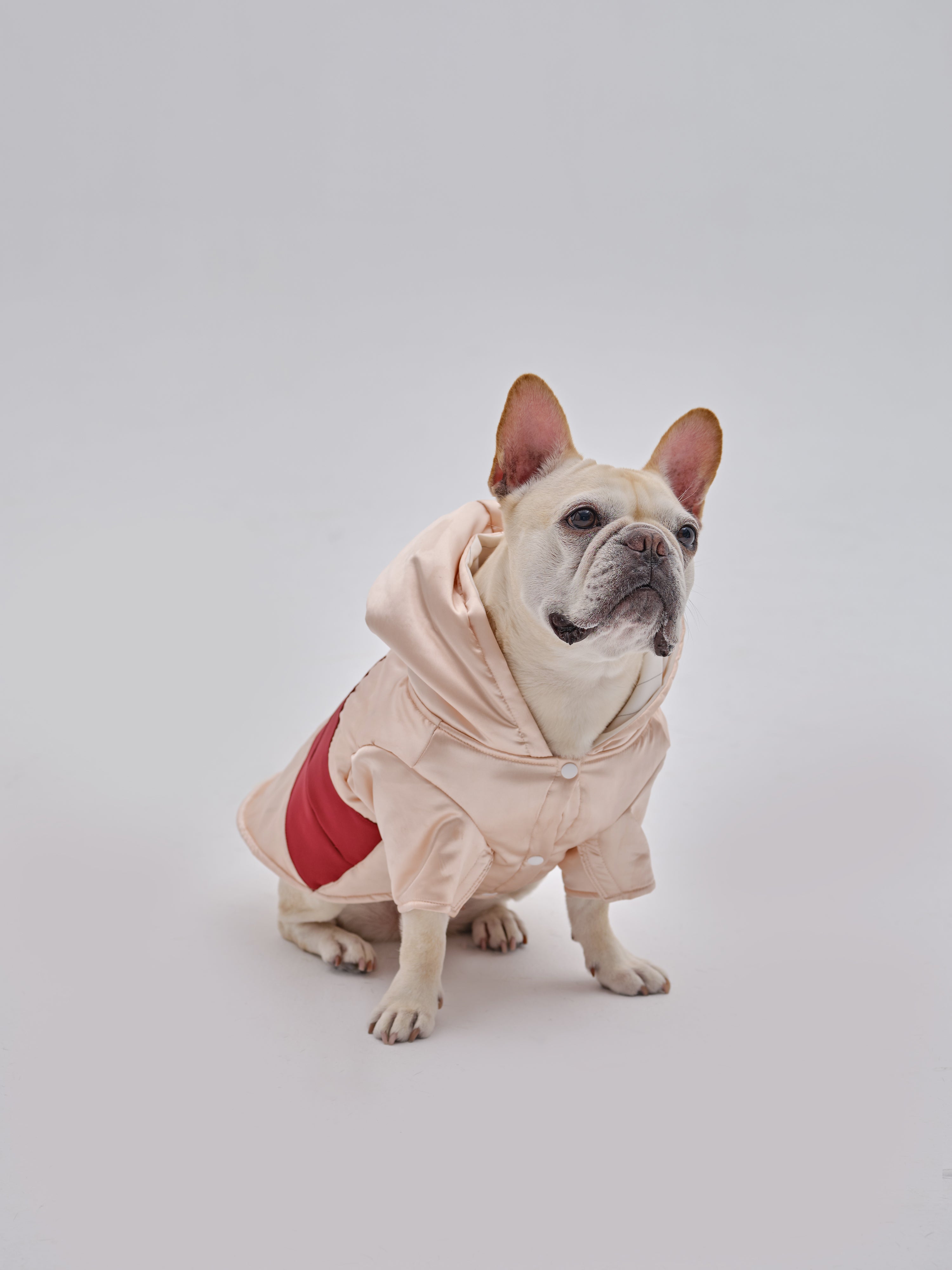 PET POCKET HOODIE-thumbmail-3