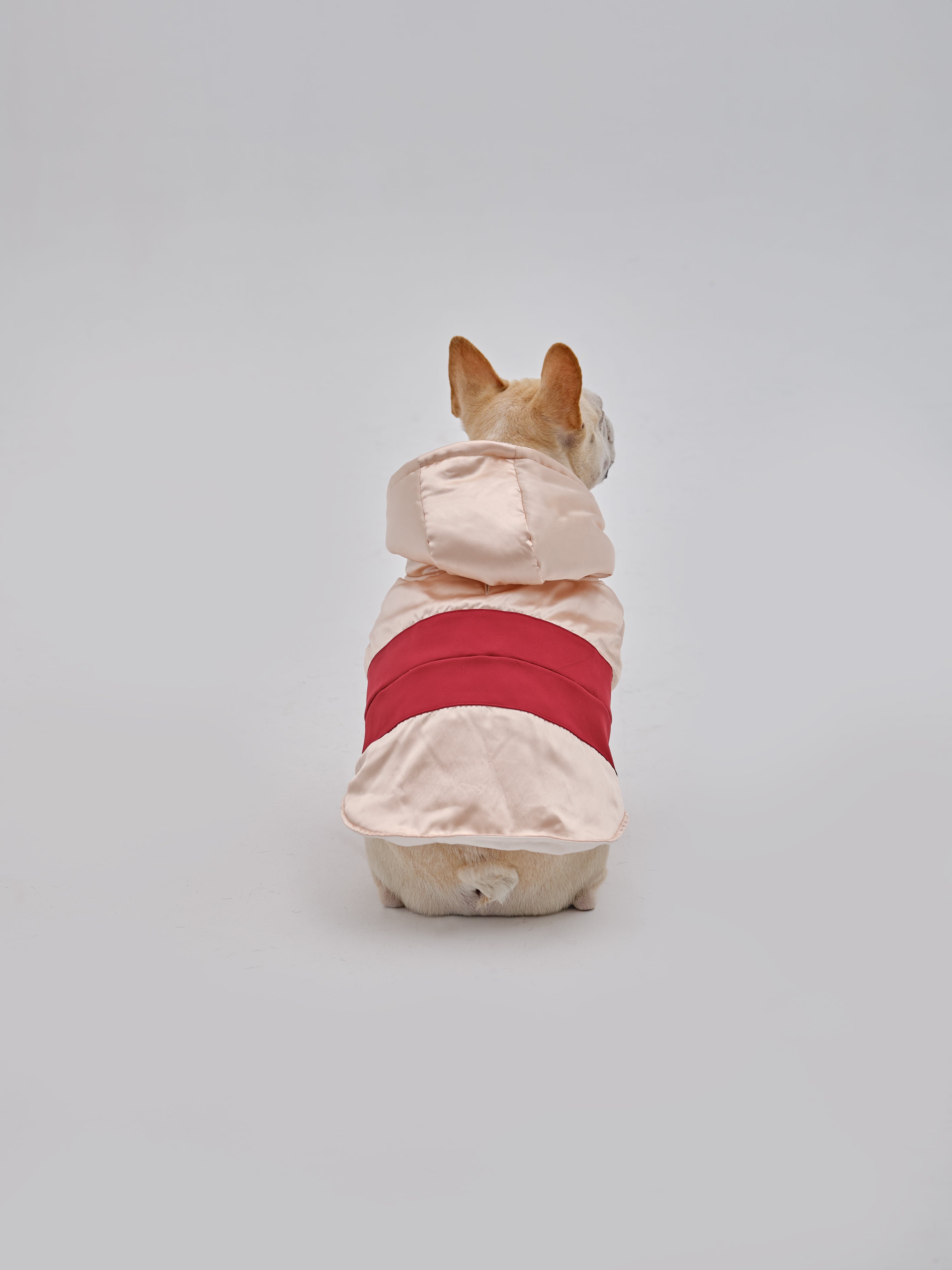 PET POCKET HOODIE-thumbmail-5