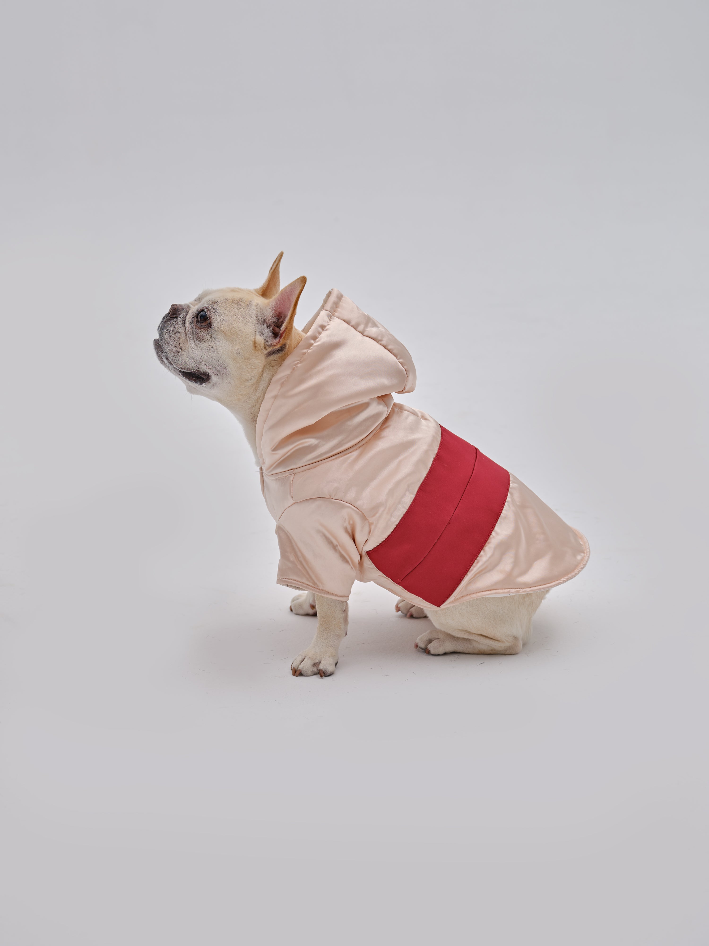 PET POCKET HOODIE-thumbmail-2
