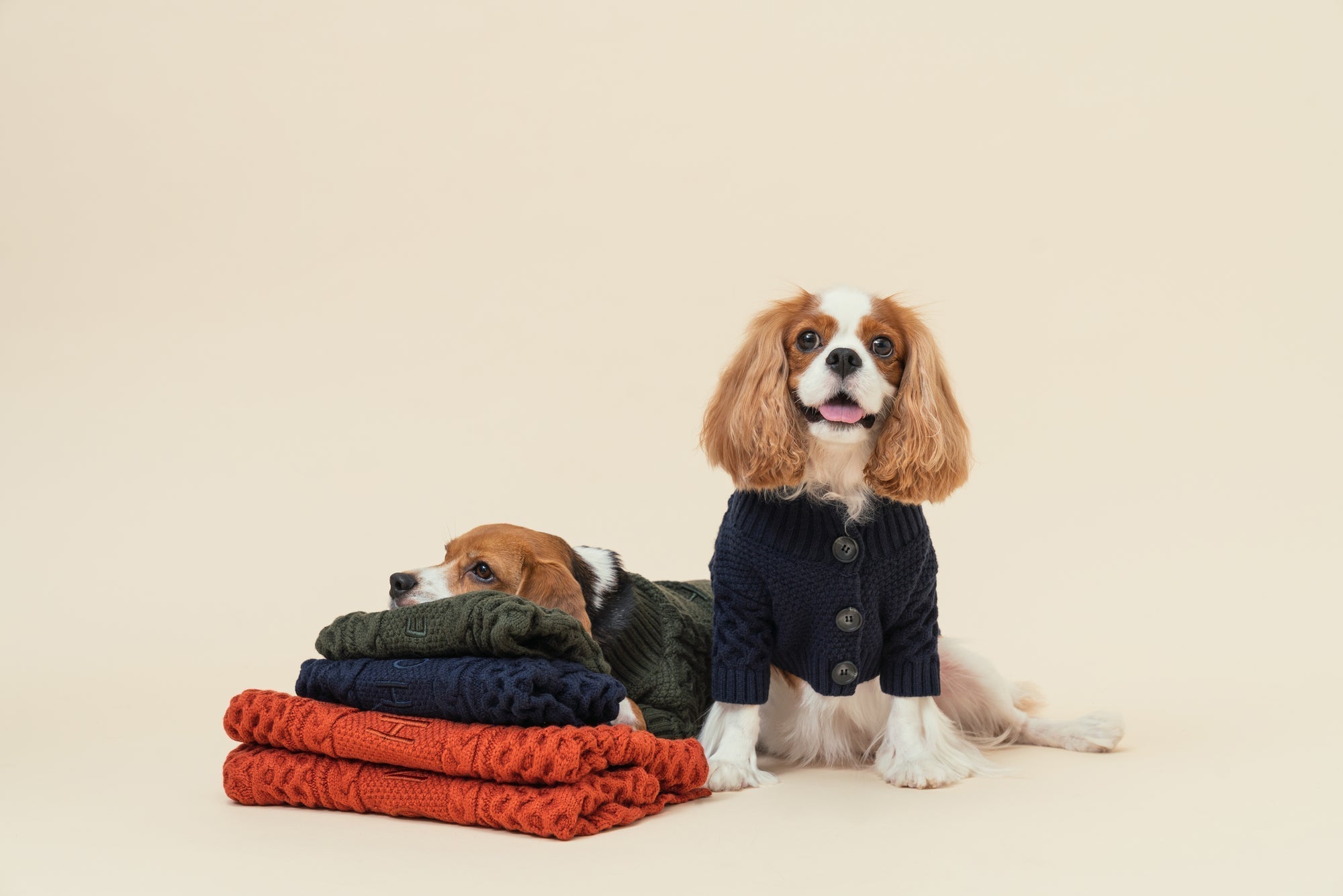 BERT CARDIGAN SWEATER - DARK GREEN-thumbmail-1