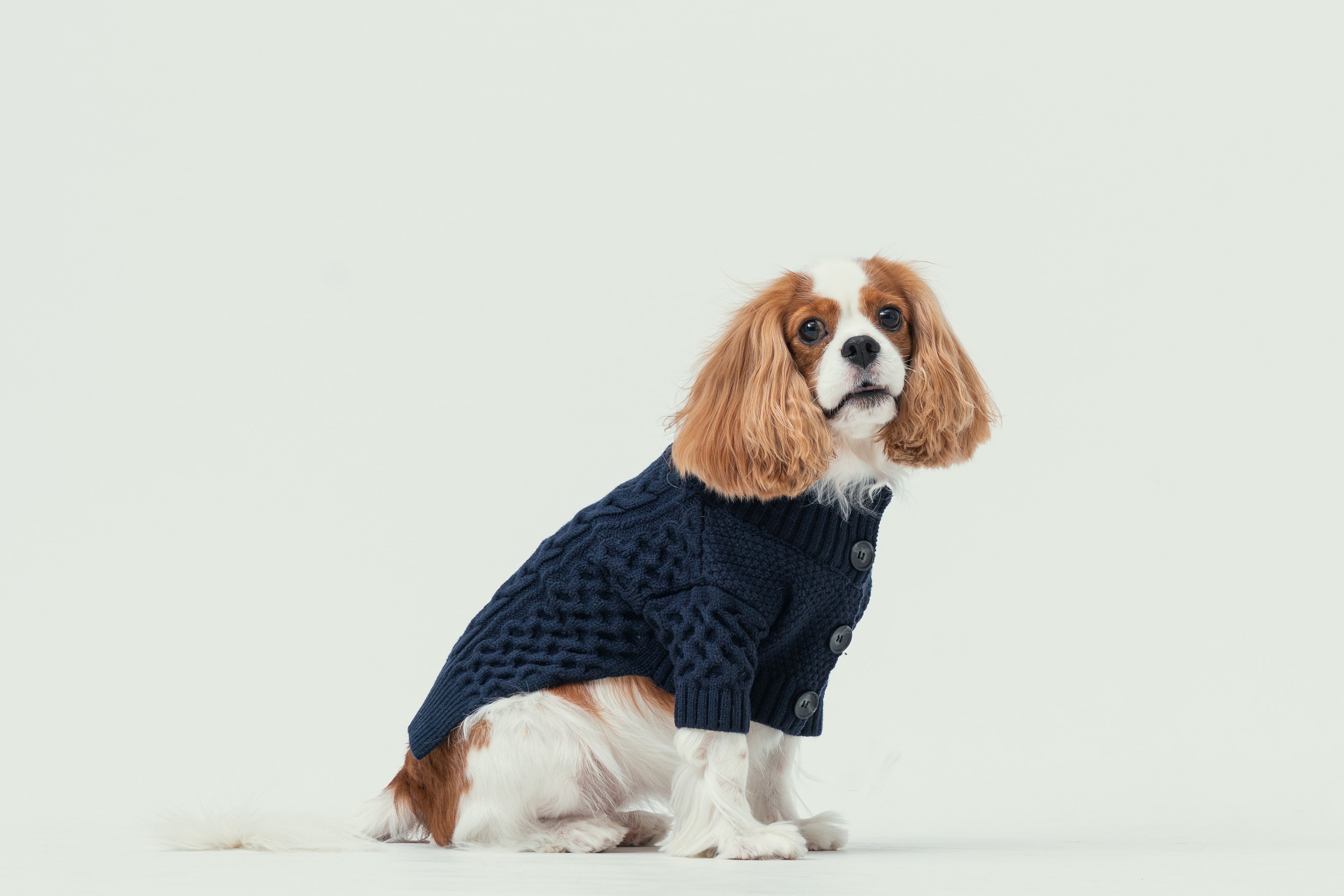 BERT CARDIGAN SWEATER - DARK BLUE-thumbmail-3