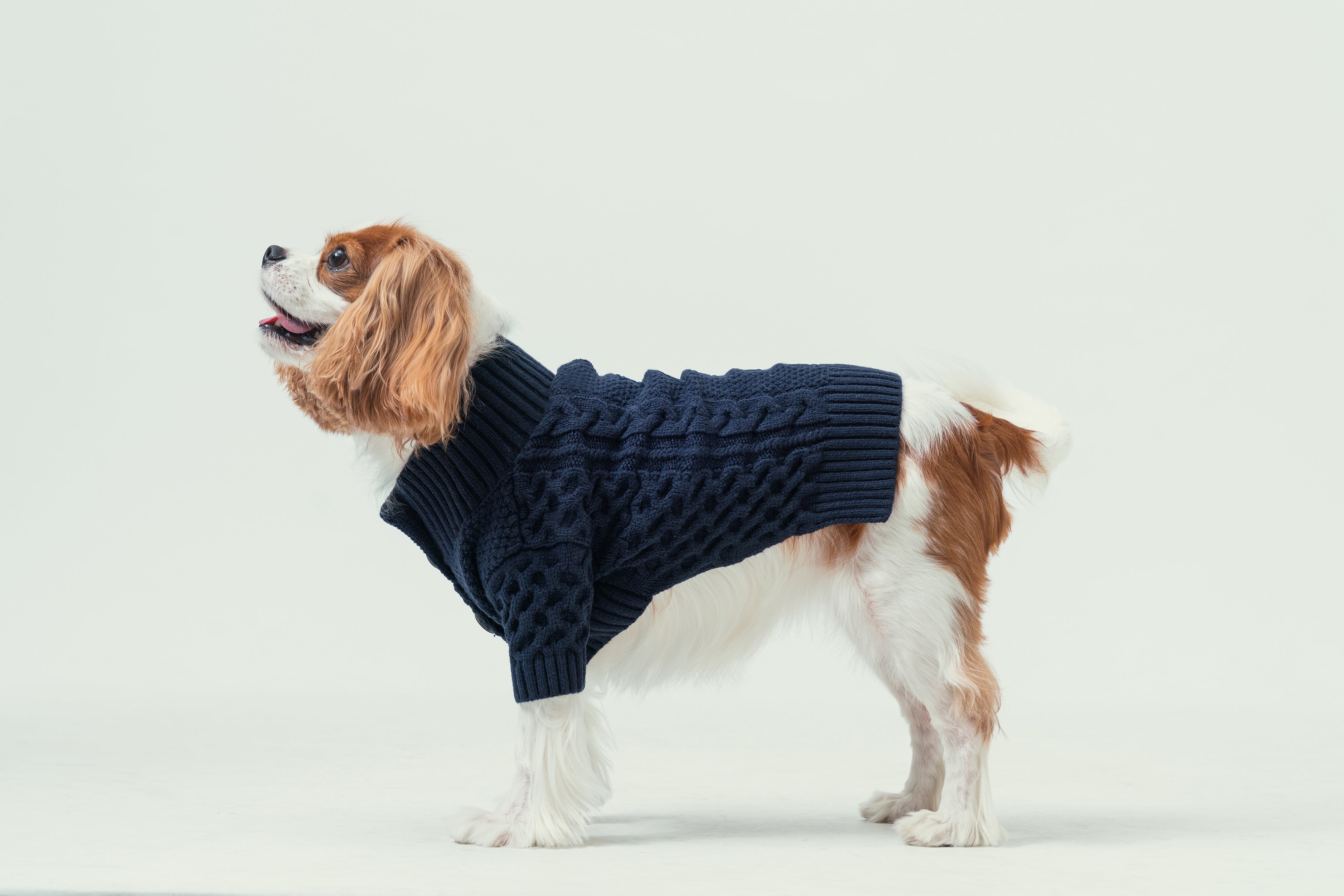 BERT CARDIGAN SWEATER - DARK BLUE-thumbmail-2