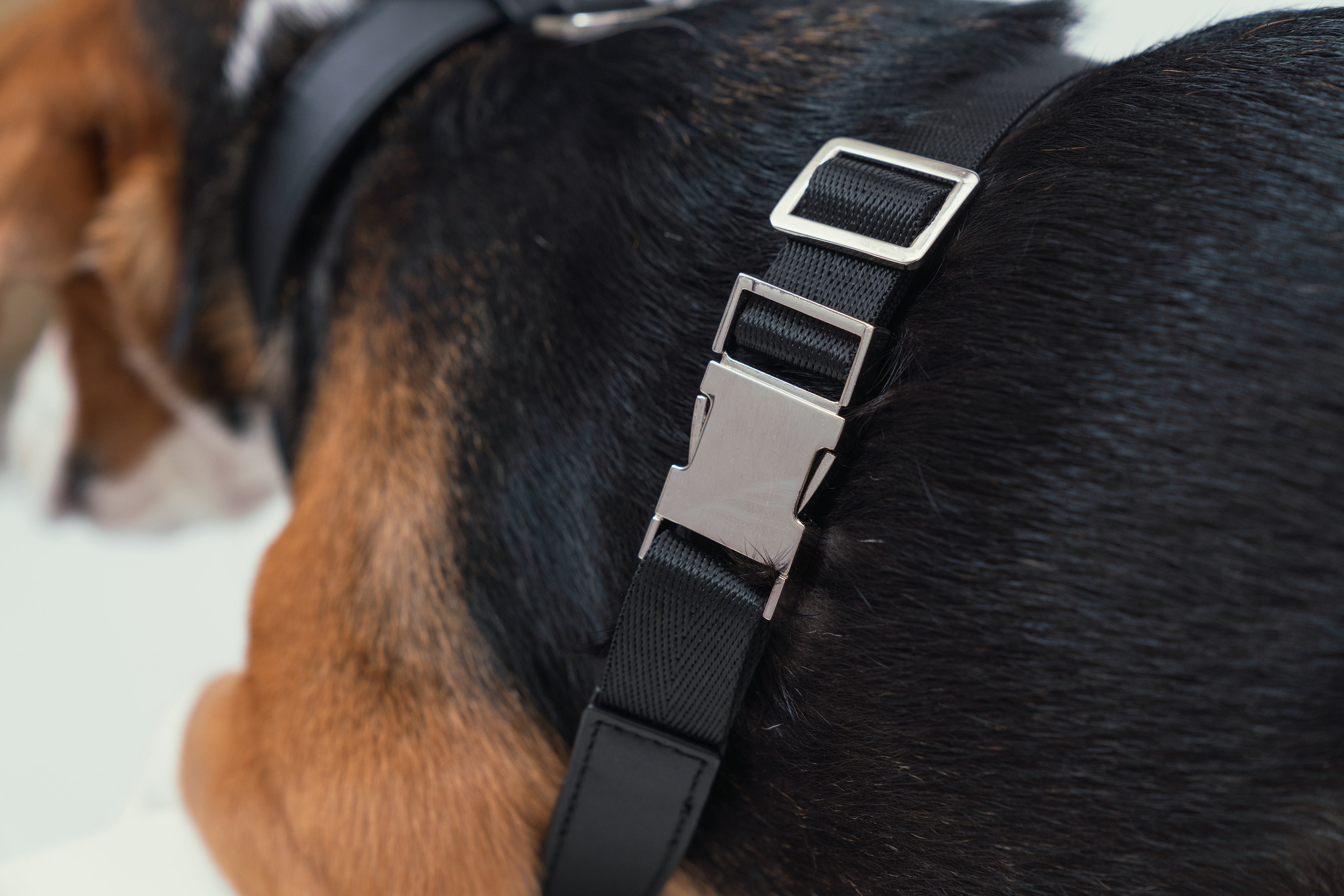 HART PRESSURE RELEASE HARNESS - BLACK BEIGE-thumbmail-1