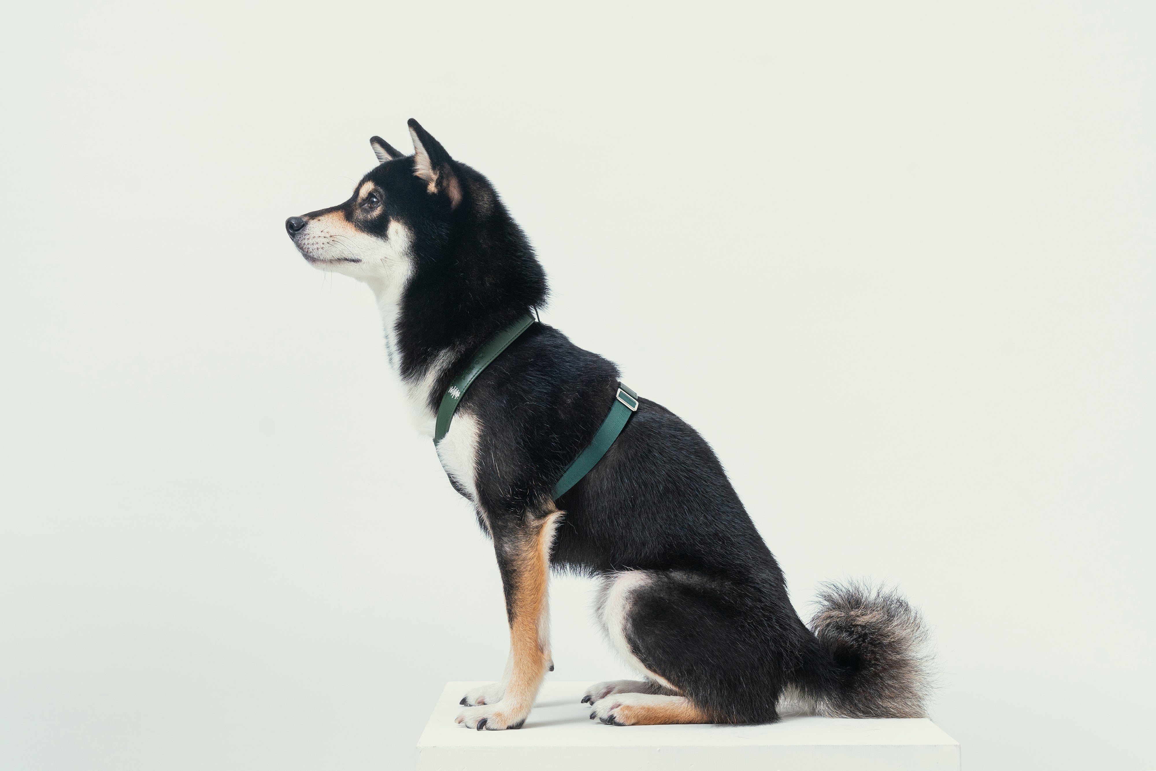 HART PRESSURE RELEASE HARNESS - GREEN-thumbmail-7