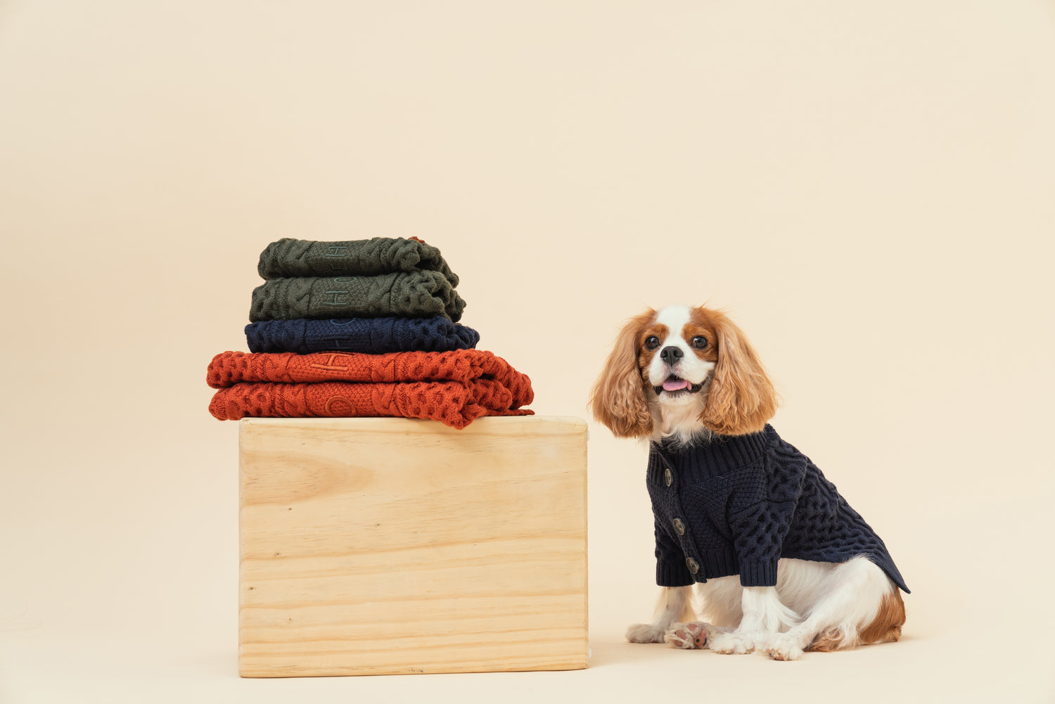 BERT CARDIGAN SWEATER - ORANGE-thumbmail-4