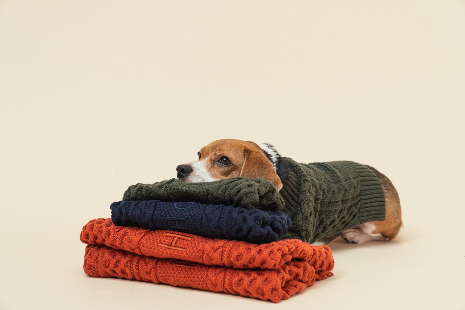 BERT CARDIGAN SWEATER - DARK GREEN-thumbmail-4