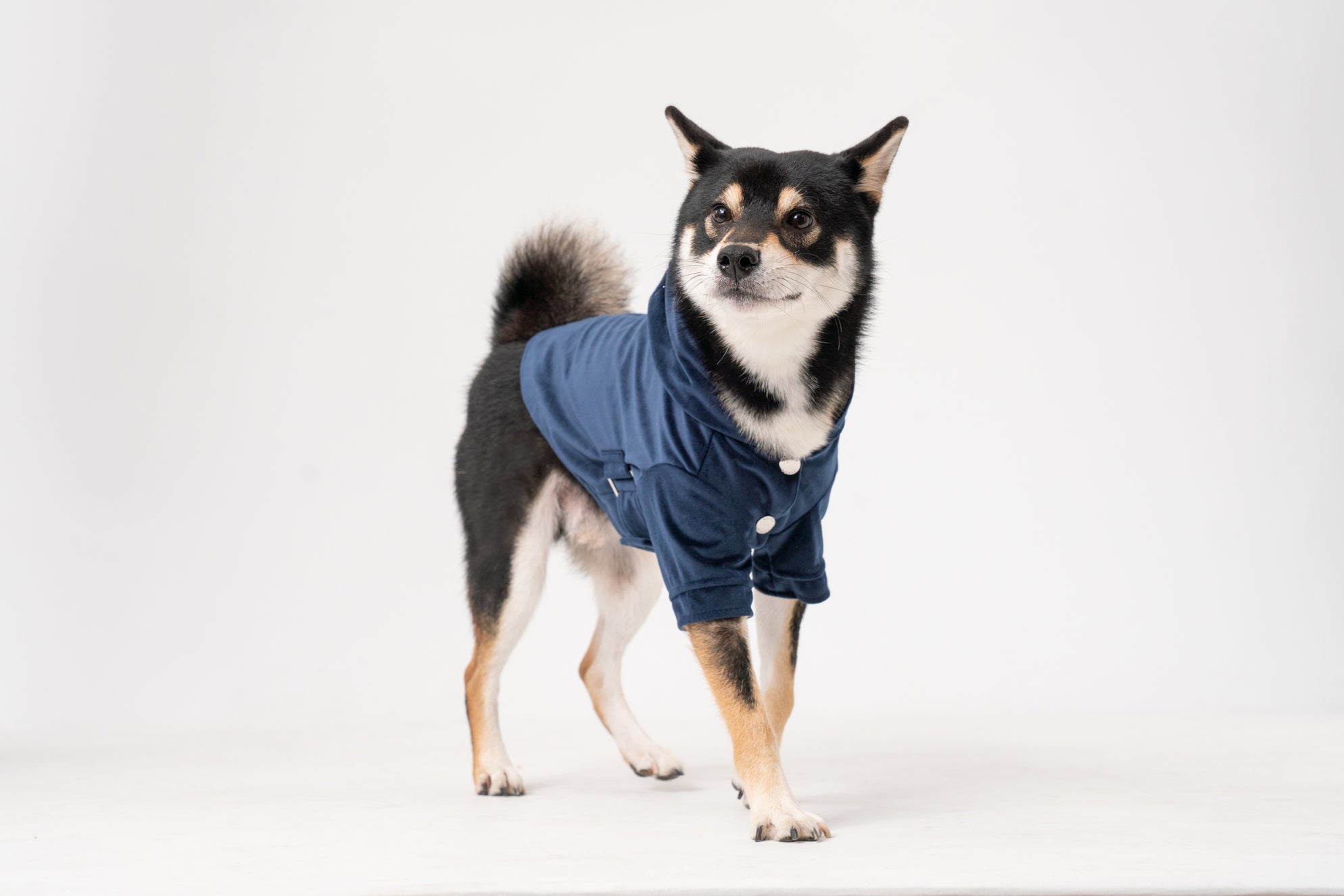 HUSTON HOODIE - MIDNIGHT BLUE-thumbmail-6