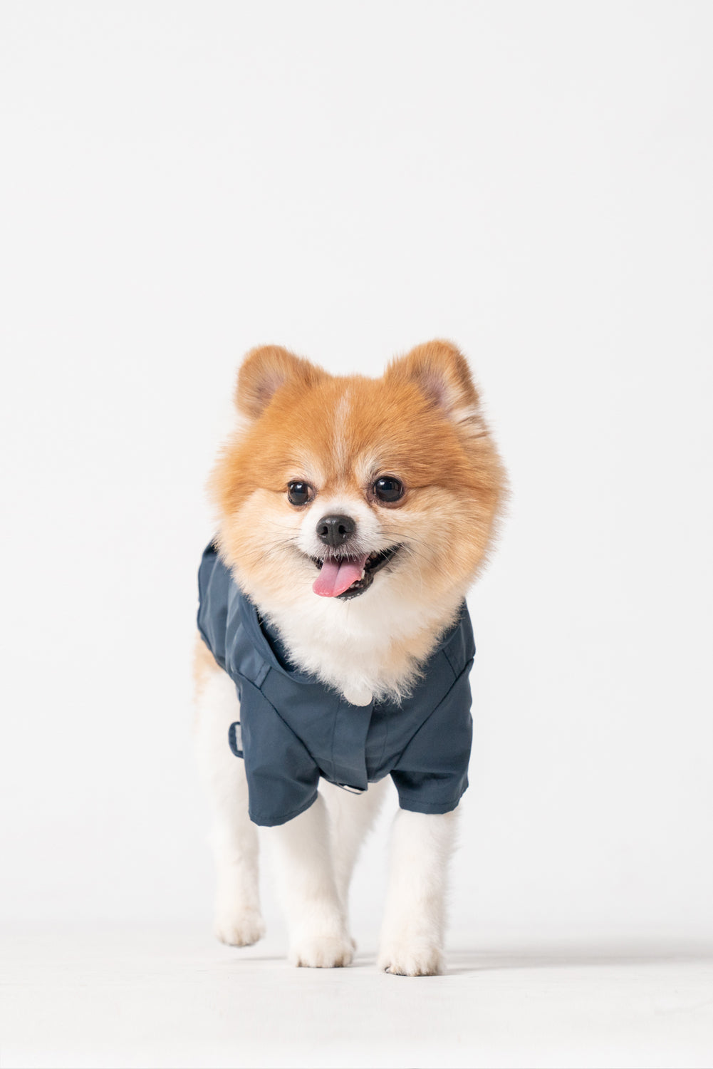 BOWERY RAINCOAT - BLUE-thumbmail-7