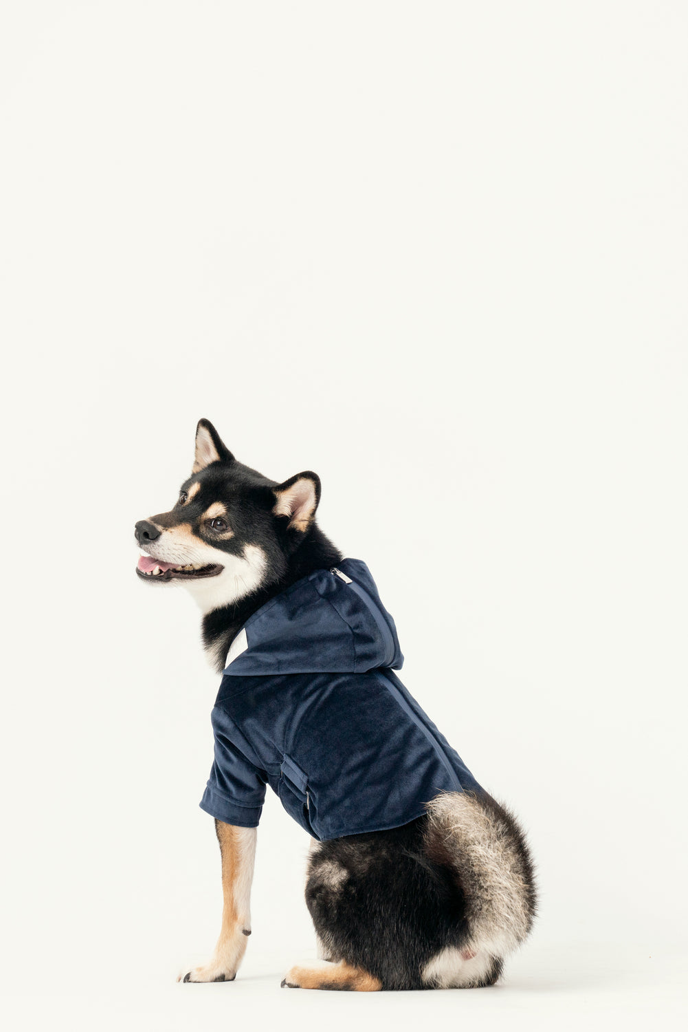 HUSTON HOODIE - MIDNIGHT BLUE-thumbmail-3