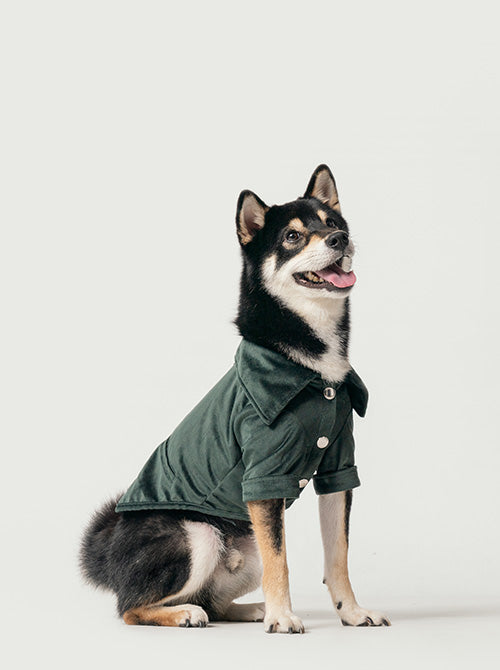 STAINWAY SHIRT - GREEN-thumbmail-1