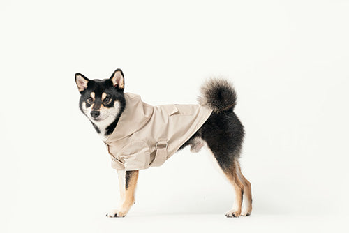 BOWERY RAINCOAT - BEIGE-thumbmail-8