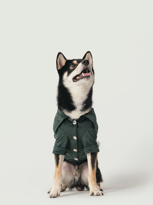 STAINWAY SHIRT - GREEN-thumbmail-4