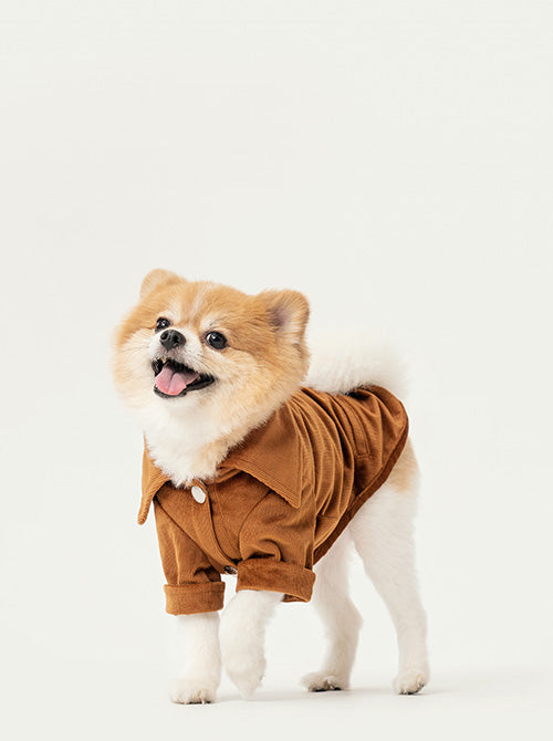 STAINWAY SHIRT - ORANGE-thumbmail-5