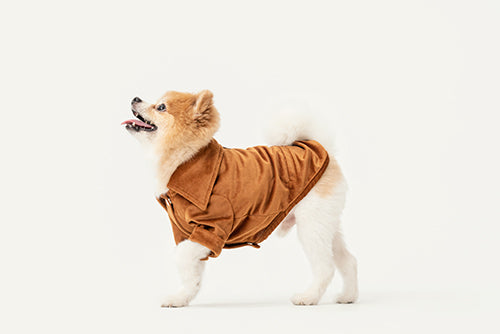 STAINWAY SHIRT - ORANGE-thumbmail-1