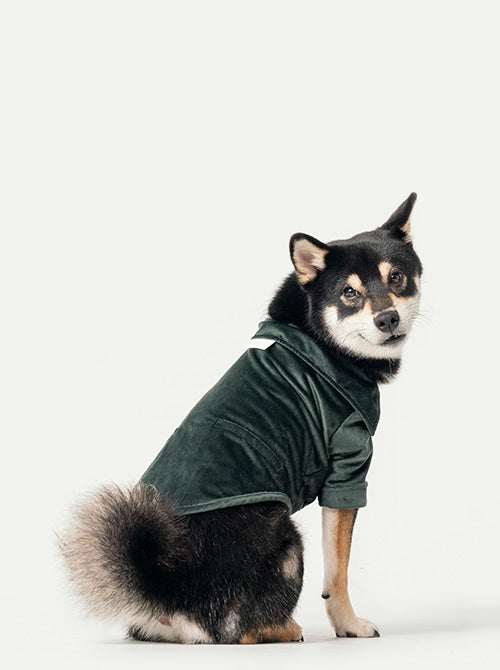 STAINWAY SHIRT - GREEN-thumbmail-5