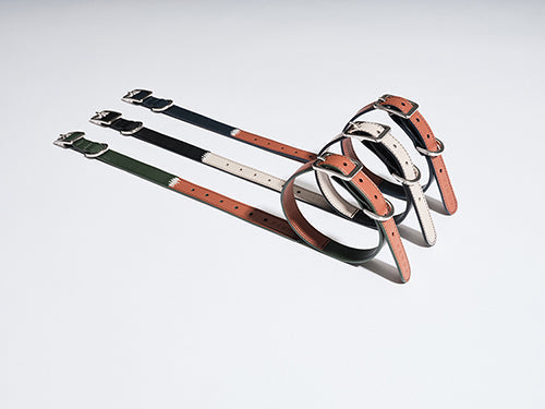 HART DOUBLE COLORS COLLAR - GREEN ORANGE-thumbmail-6