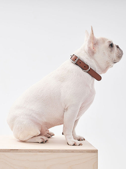 HART DOUBLE COLORS COLLAR - GREEN ORANGE-thumbmail-1