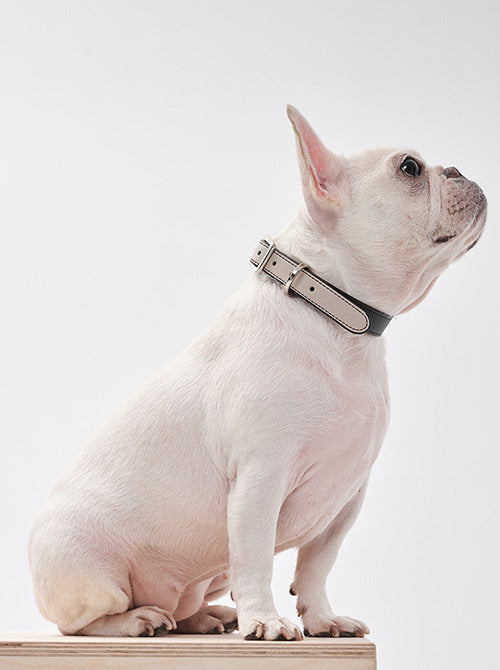 HART DOUBLE COLORS COLLAR - BLACK BEIGE-thumbmail-4
