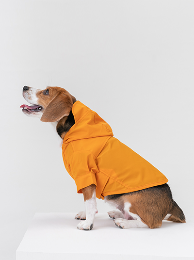 Tribeca Adjustable Velcro Raincoat - Egg Yolk-thumbmail-5