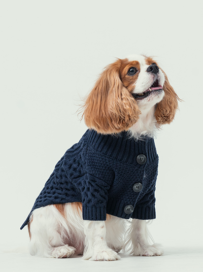 BERT CARDIGAN SWEATER - DARK BLUE-thumbmail-7