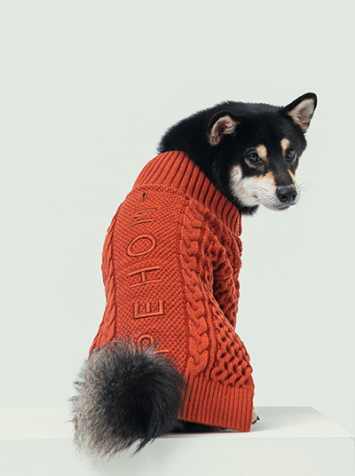 BERT CARDIGAN SWEATER - ORANGE-thumbmail-2